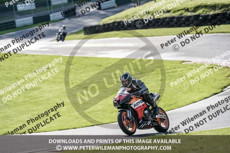 cadwell no limits trackday;cadwell park;cadwell park photographs;cadwell trackday photographs;enduro digital images;event digital images;eventdigitalimages;no limits trackdays;peter wileman photography;racing digital images;snetterton;snetterton no limits trackday;snetterton photographs;snetterton trackday photographs;trackday digital images;trackday photos